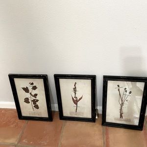 3 Vintage style floral prints